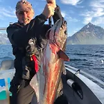 Lofoten Glamping Dome Myrland