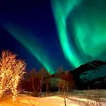 Lofoten Glamping Dome *