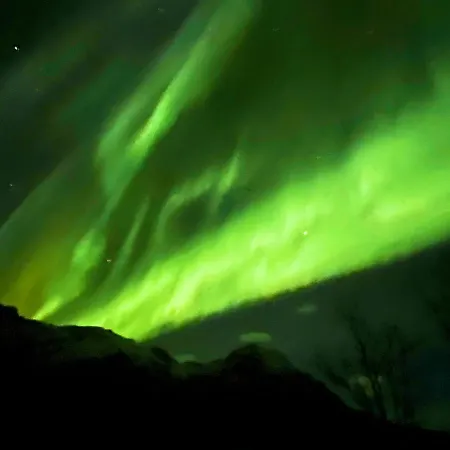 Lofoten Glamping Dome Luksustelt Myrland