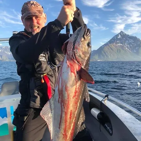 Lofoten Glampingdome Myrland