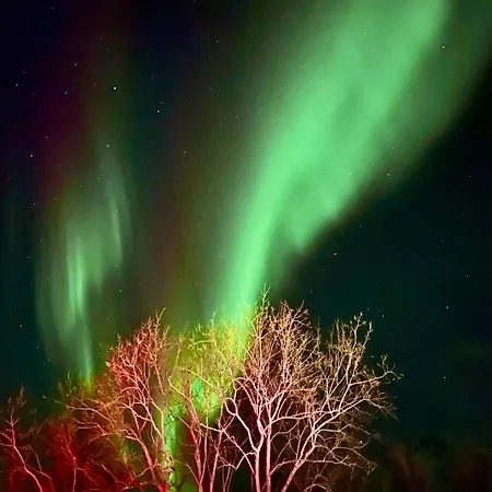 Lofoten Glampingdome Myrland