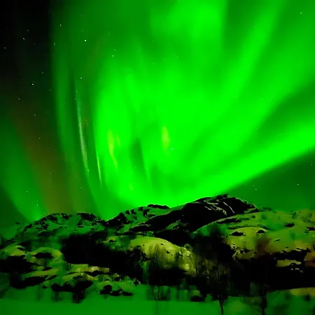 Luxury tent Lofoten Glampingdome Myrland