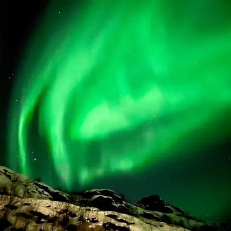 Lofoten Glamping Dome Myrland