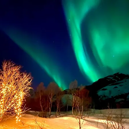 Lofoten Glamping Dome *