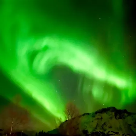 Lofoten Glamping Dome