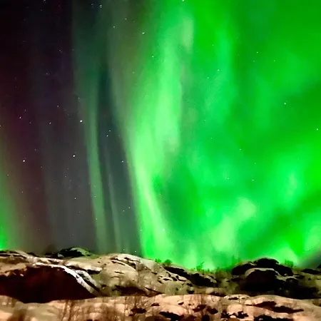 Lofoten Glamping Dome *