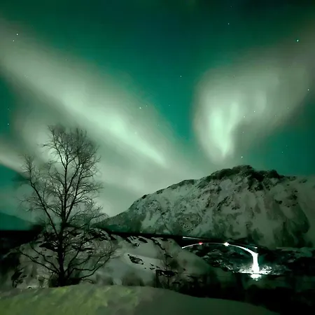 Lofoten Glamping Dome