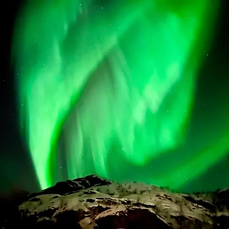 ラグジュアリーテント Lofoten Glamping Dome