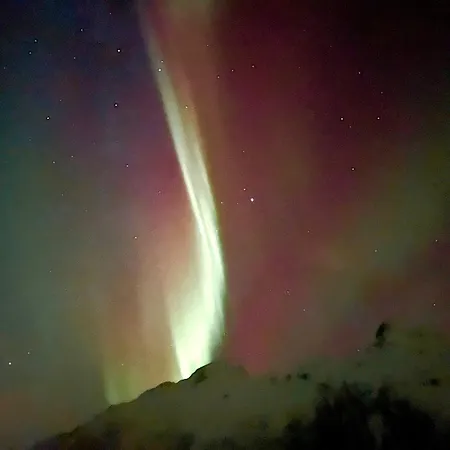 Lofoten Glampingdome *