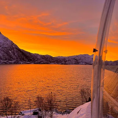 Lofoten Glamping Dome