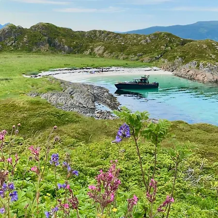 Luksustelt Lofoten Glamping Dome Myrland