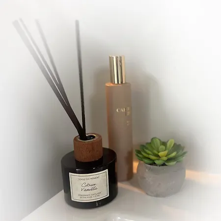 Lofoten Glampingdome Myrland