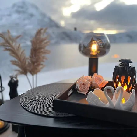 Lofoten Glamping Dome * Myrland