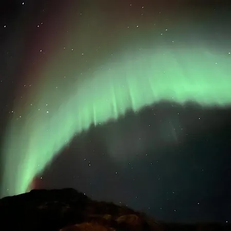 Lofoten Glampingdome