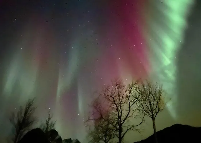 Lyxtält Lofoten Glamping Dome *