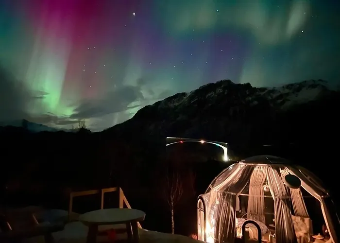 Lofoten Glamping Dome * Myrland
