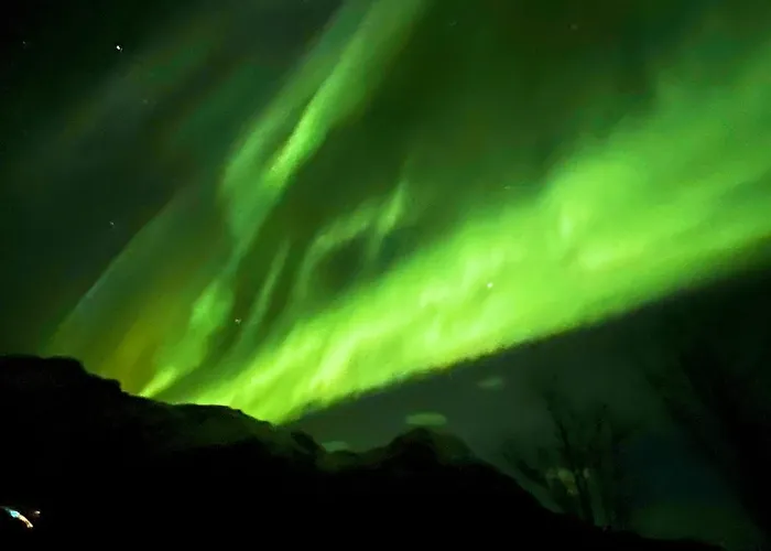 Lofoten Glamping Dome Lyxtält Myrland