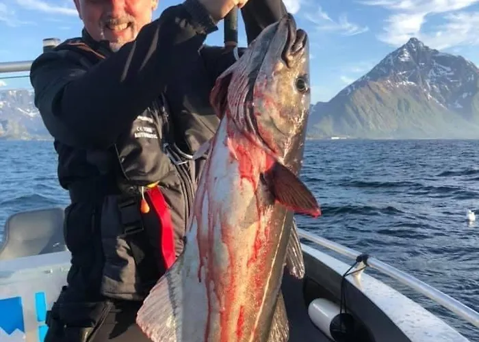 Lofoten Glampingdome Myrland