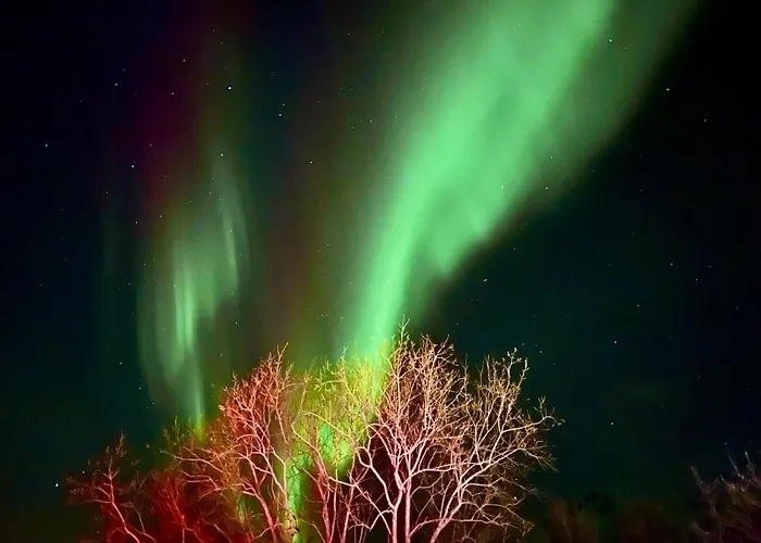 Lofoten Glampingdome Myrland