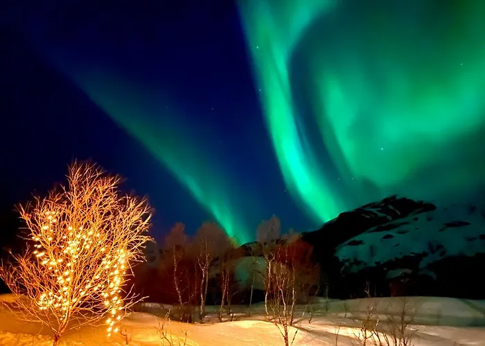 Lofoten Glamping Dome *