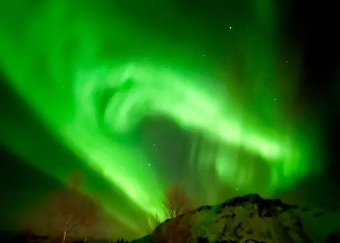 Lofoten Glamping Dome