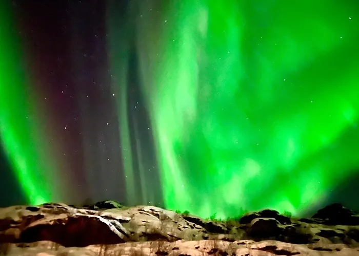 Lofoten Glamping Dome *