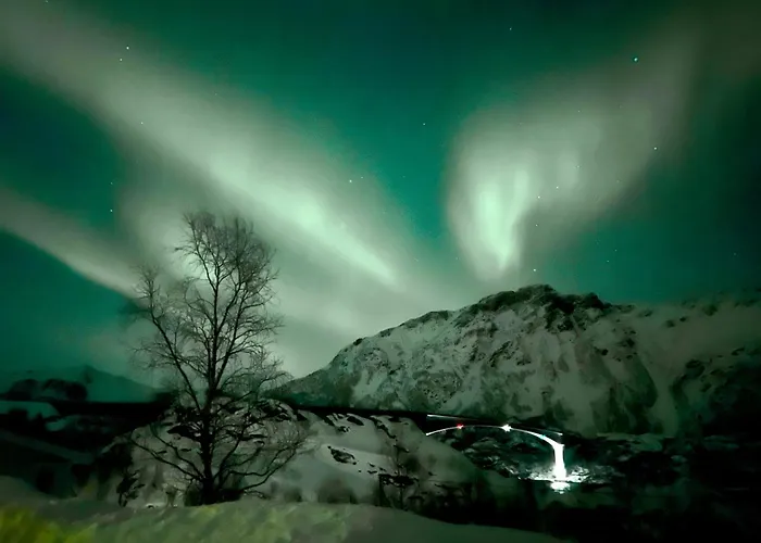 Lofoten Glamping Dome