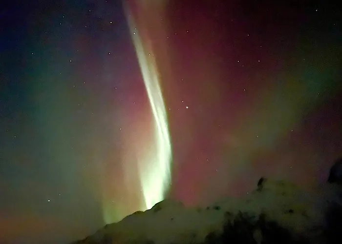 Lofoten Glamping Dome *