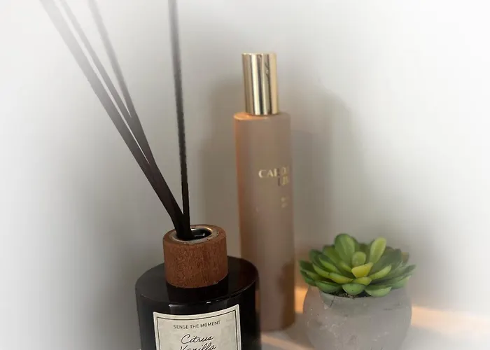 Lofoten Glampingdome Myrland