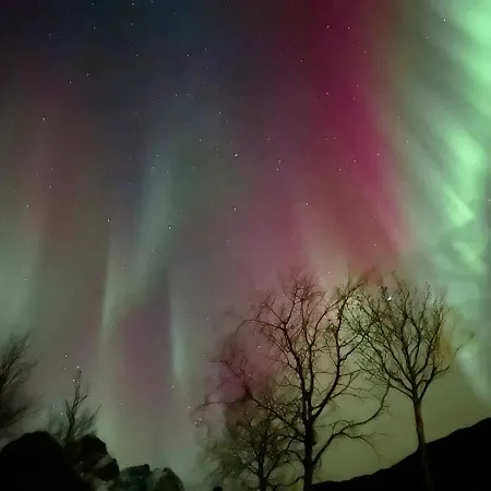 Luksusowy namiot Lofoten Glampingdome *